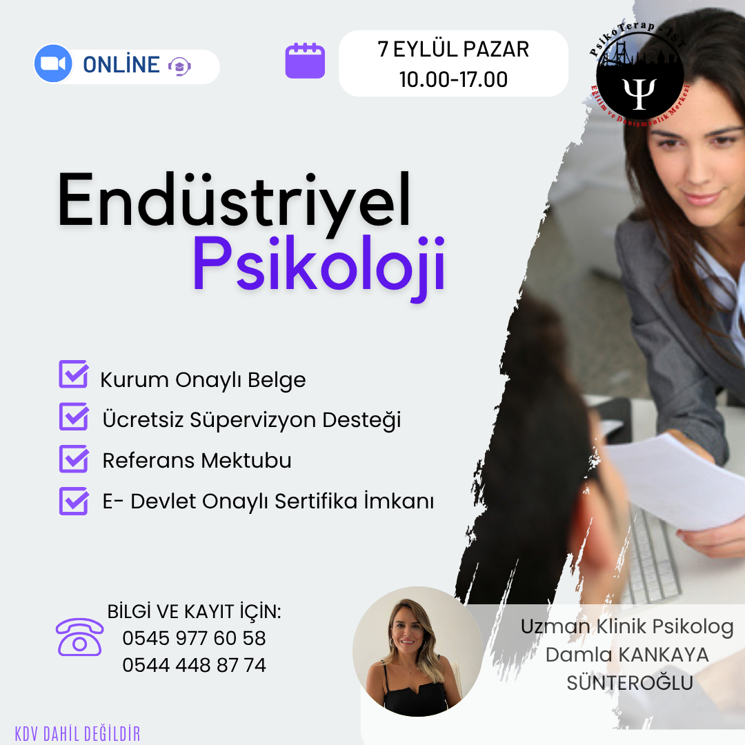 ŞİRKETLERDE/ ENDÜSTRİ PSİKOLOJİSİ ALANINDA ÇALIŞMAK İSTEYEN PSİKOLOGLAR veya PSİKOLOJİK DANIŞMANLAR İÇİN MESLEKİ DESTEK PROGRAMI